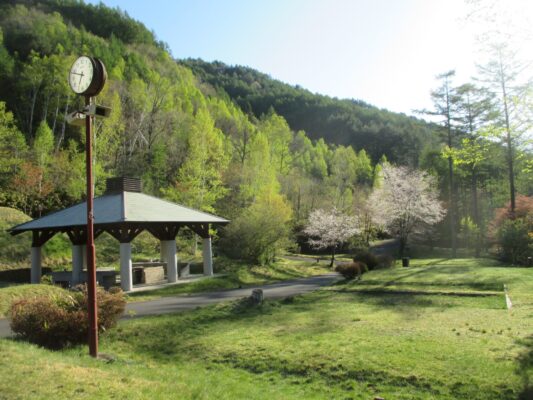 基本構文網羅スケジュール_Day8